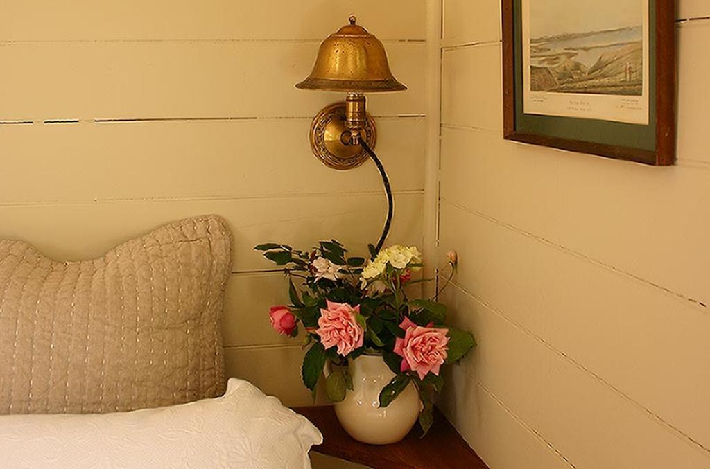 Bluff Hill Bed & Breakfast Napier Ngoại thất bức ảnh